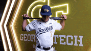 Georgia Tech Baseball GIF by Georgia Tech Yellow Jackets
