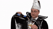 GreenLeavesProductions 2023 carnaval helmond carnaval2023 GIF