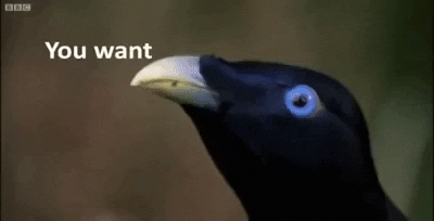 karlapinkfireprince giphygifmaker lemme smash GIF