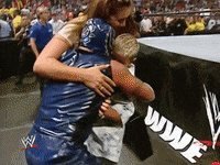 wwe sports wwe wrestling summerslam GIF