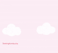 Seekingkombucha rainbow sky clouds kombucha GIF