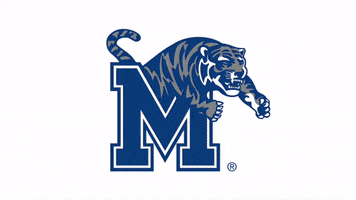 Memphis Tigers GIF by University of Memphis