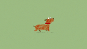 dog run GIF by Studio Hello