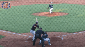 EvansvilleOtters baseball swag looking unbelievable GIF