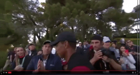 VicVik giphyupload GIF