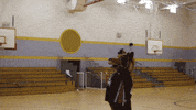 Harlem Globetrotters Fox GIF by Fayetteville Marksmen