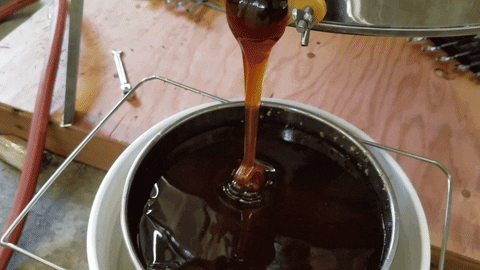 honey satisfying GIF