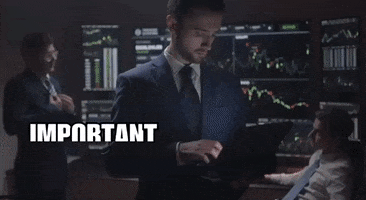 Shiba GIF by SHIBABETS.GG