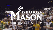 patriots gmu GIF