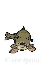 New Post Sticker by Lucie Stejskalová