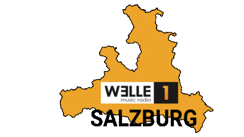 Music Radio Sticker by WELLE 1
