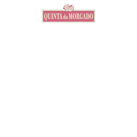 Wine Vinho Sticker by Fante Bebidas