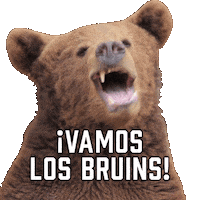 Boston Bruins Sport Sticker by Sealed With A GIF