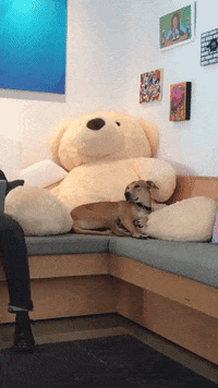 bear bayou GIF by garbage party