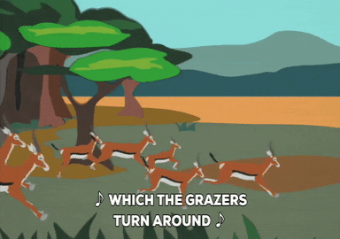 deer running GIF by South Park 