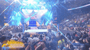 Summerslam 2019 Reaction GIF by WWE