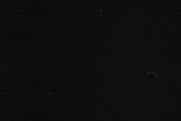 Gun Bullet GIF by Raye