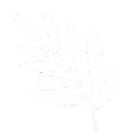 Leaves Boho Sticker