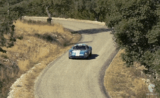 France Rally GIF by Mecanicus