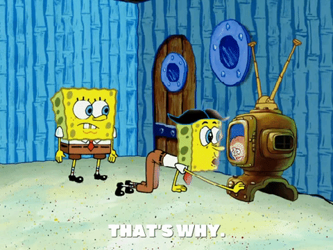 season 5 episode 20 GIF by SpongeBob SquarePants