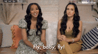 Fly Baby
