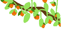 Orange Grow Sticker by eloessi