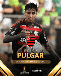 Erick Pulgar GIF