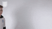 Three Lions Football GIF by England