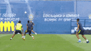 selecao brasileira GIF by Confederação Brasileira de Futebol
