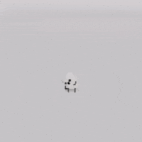 Marshmallow GIF