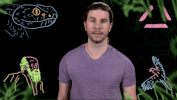 kyle hill predator GIF by Because Science