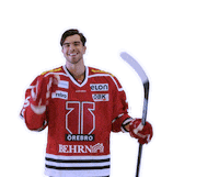 The Train Goal Sticker by Örebro Hockey