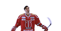 Goal Mal Sticker by Örebro Hockey