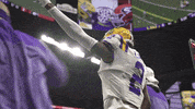 College Football Celebration GIF by LSU Tigers