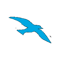 Hawks Ehs Sticker
