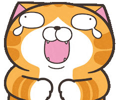 Cat Lol GIF by MochiDad