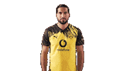 Borussia Dortmund Football Sticker by Bundesliga