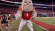 College Football Bulldogs GIF by University of Georgia