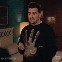 David Rose What GIF by Schitt's Creek