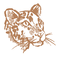 Shop Small Leopard Print Sticker by Made590