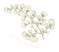 Natures Way Sticker by Bustle