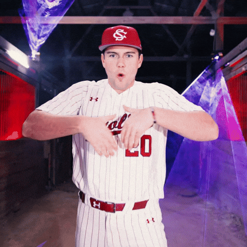 Home Run Celebration GIF by Gamecock Athletics
