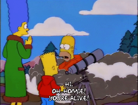 homer simpson crash GIF