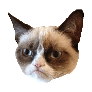 grumpy cat no STICKER by imoji