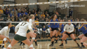 north dakota state bison GIF by NDSU Athletics