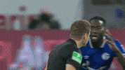 Referee What GIF by FC Schalke 04