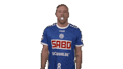 Handball-Bundesliga Sport Sticker by LIQUI MOLY HBL