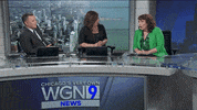 chicago lol GIF by WGN Morning News