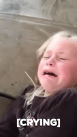 Little girl laments her lack of real-life unicorn