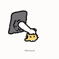 고양이 GIF